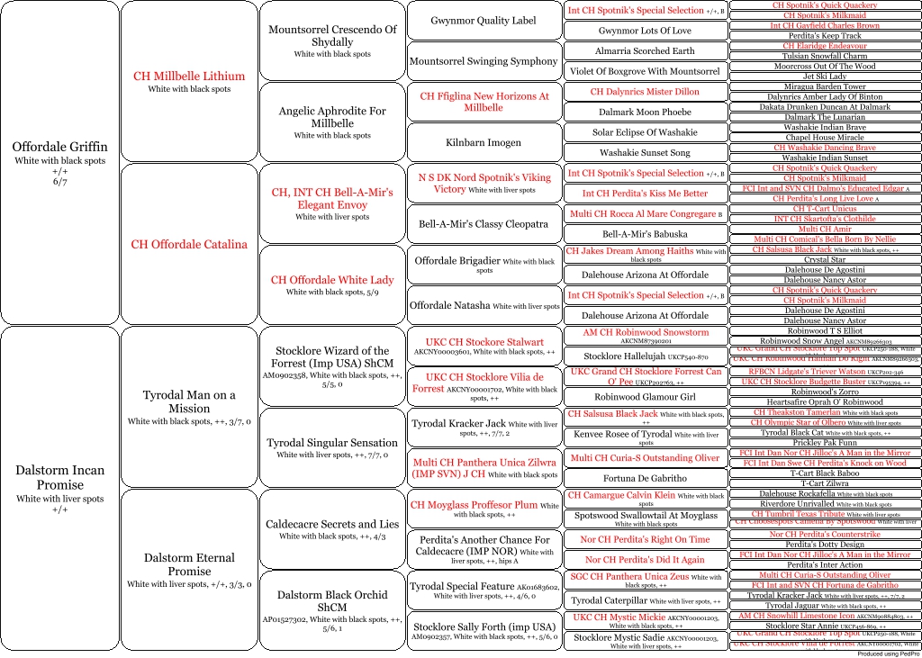 6 generation pedigree
